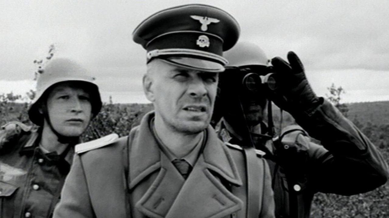 Kummeli Kultakuumeの背景画像