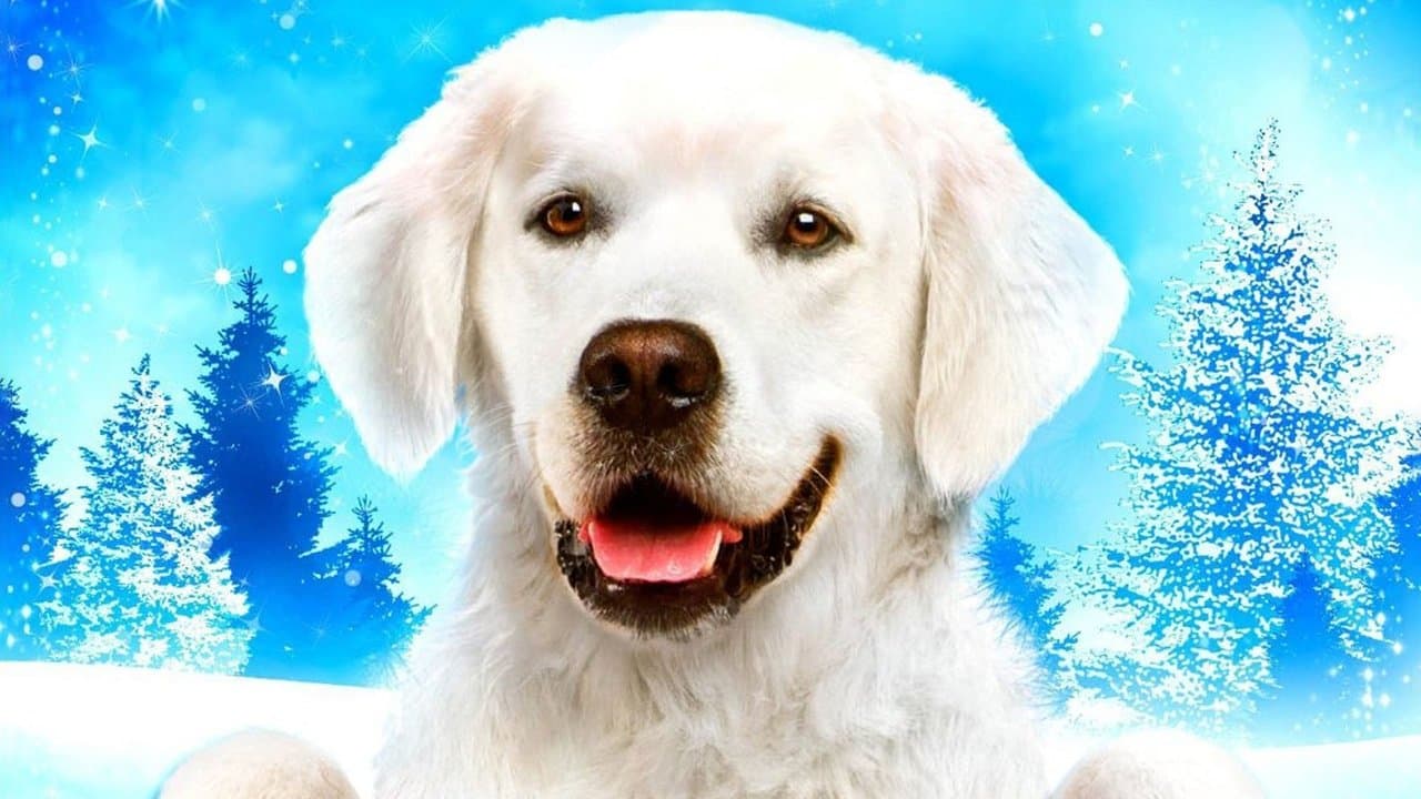 Adventures of Bailey: Christmas Heroの背景画像