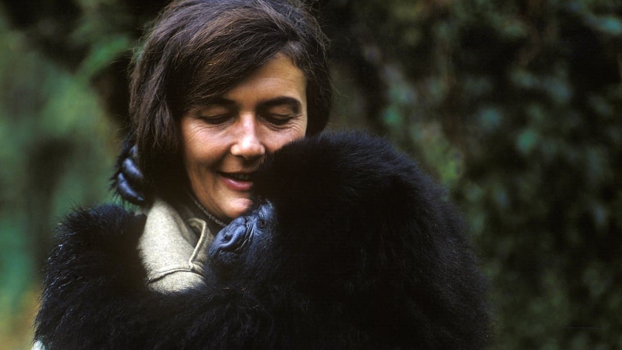 Dian Fossey: Secrets in the Mistの背景画像