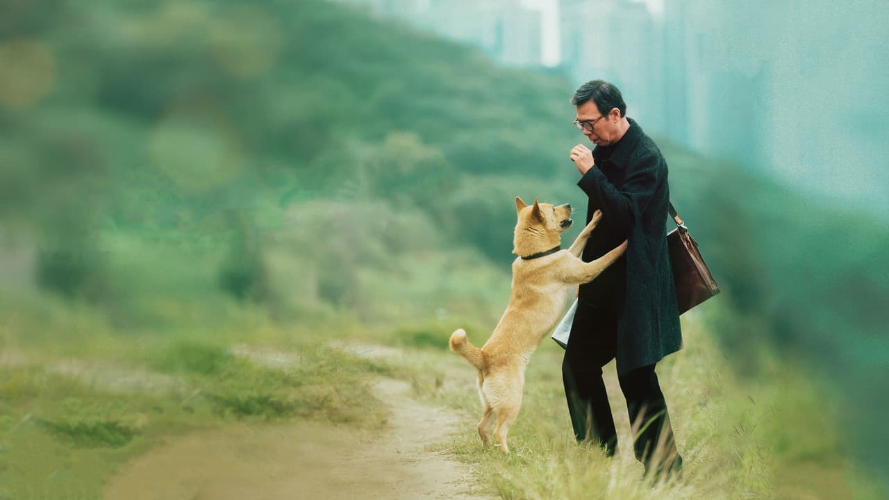 忠犬八公の背景画像