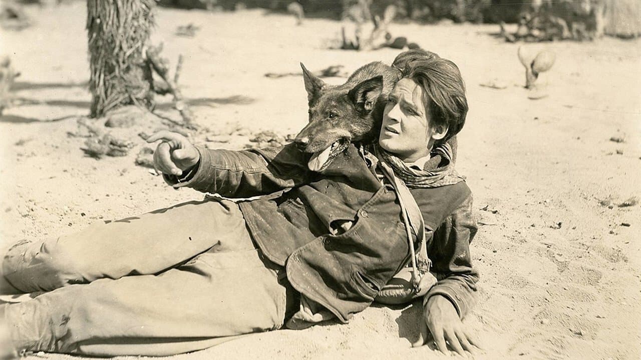 Clash of the Wolvesの背景画像