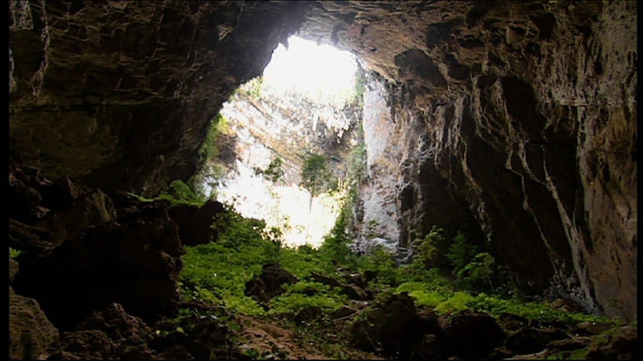 Expedition Borneoの背景画像