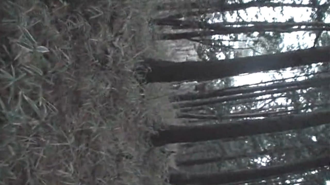 呪いのご当地都市伝説～北海道・東北編～の背景画像