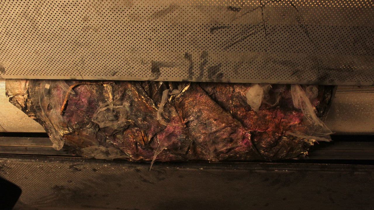 receptáculoの背景画像