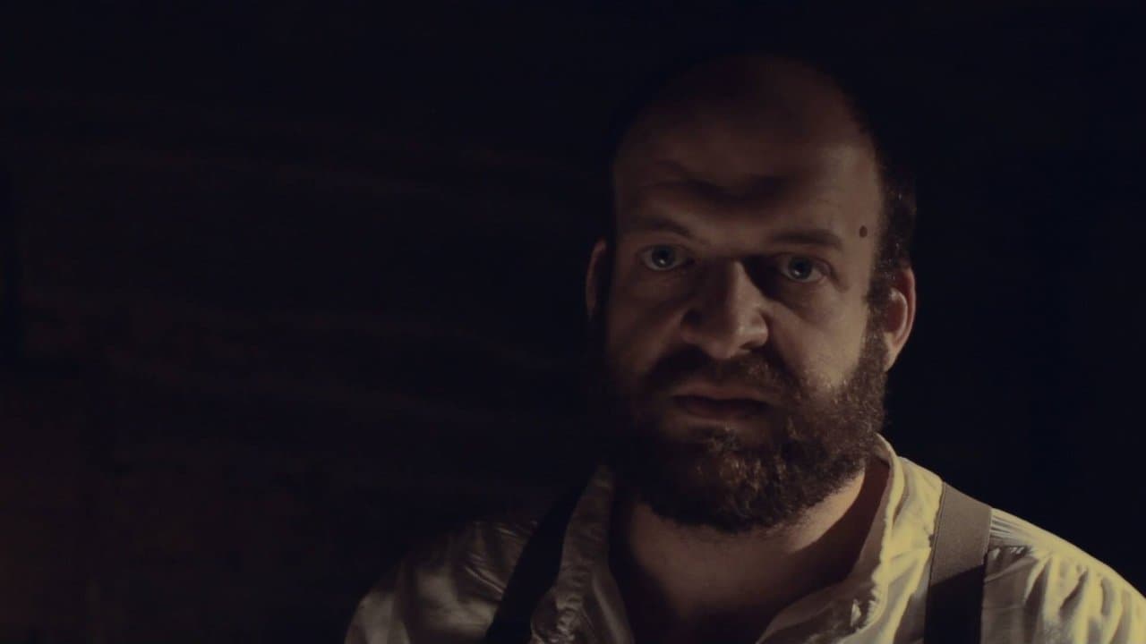 The Hollersの背景画像