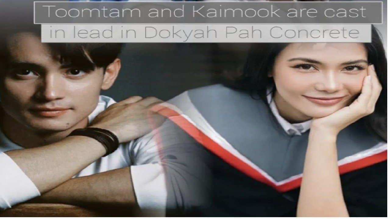ดอกหญ้าป่าคอนกรีตの背景画像