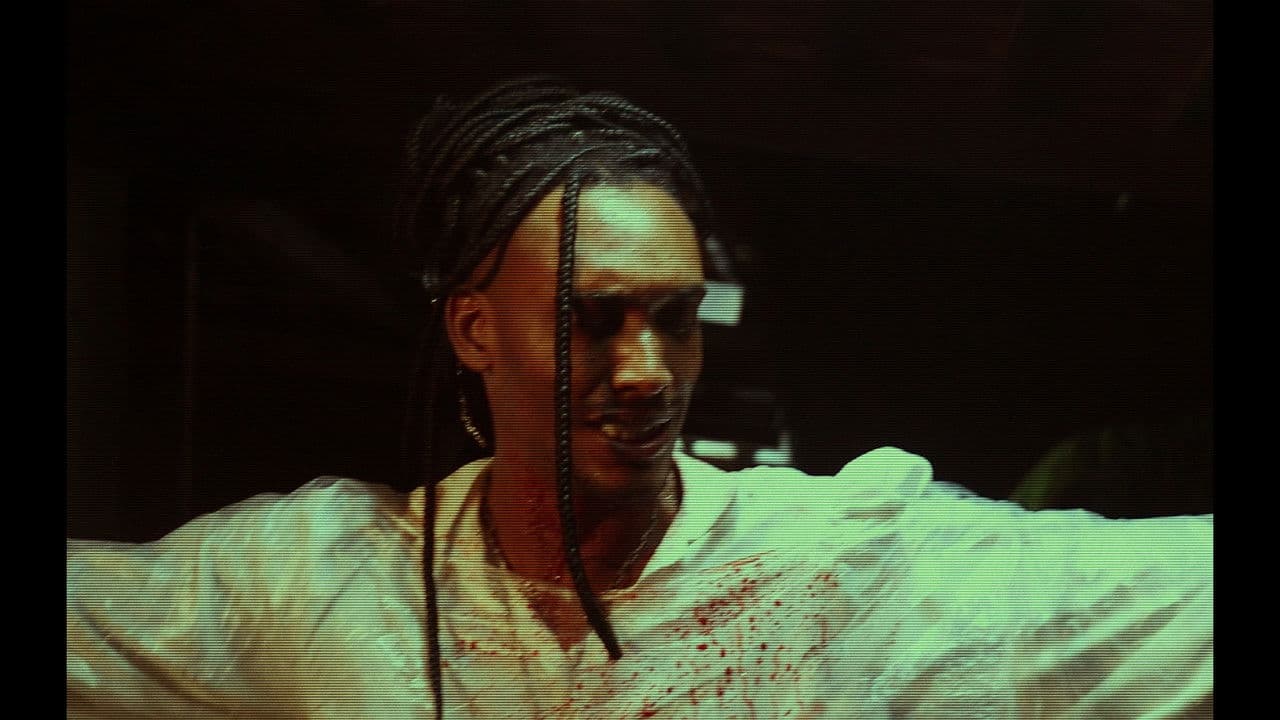 FELIZ 200!の背景画像