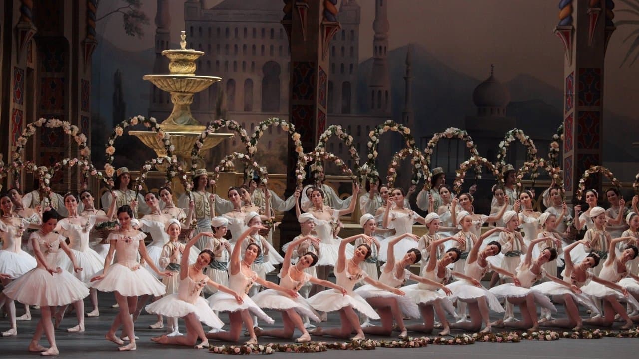 Bolshoi Ballet: Le Corsaireの背景画像