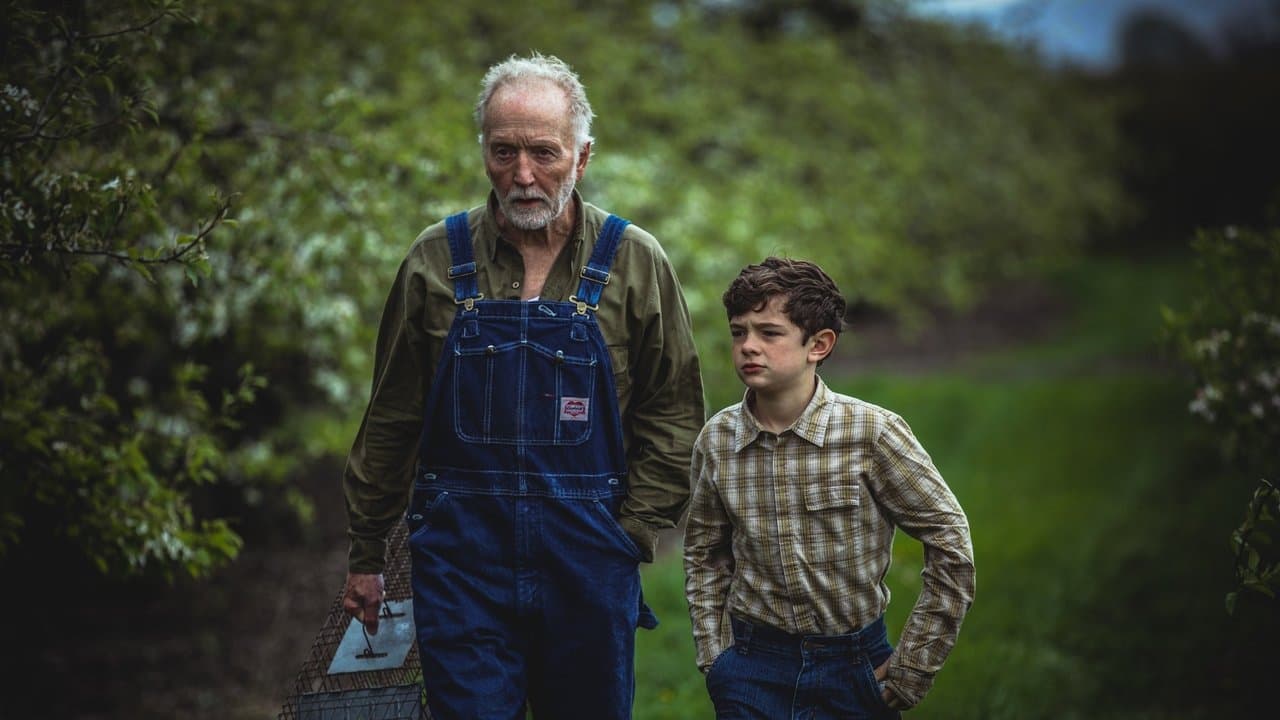 My Pretty Ponyの背景画像