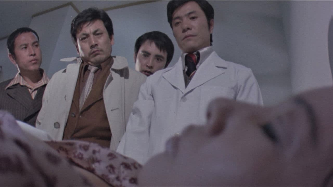 묘녀の背景画像