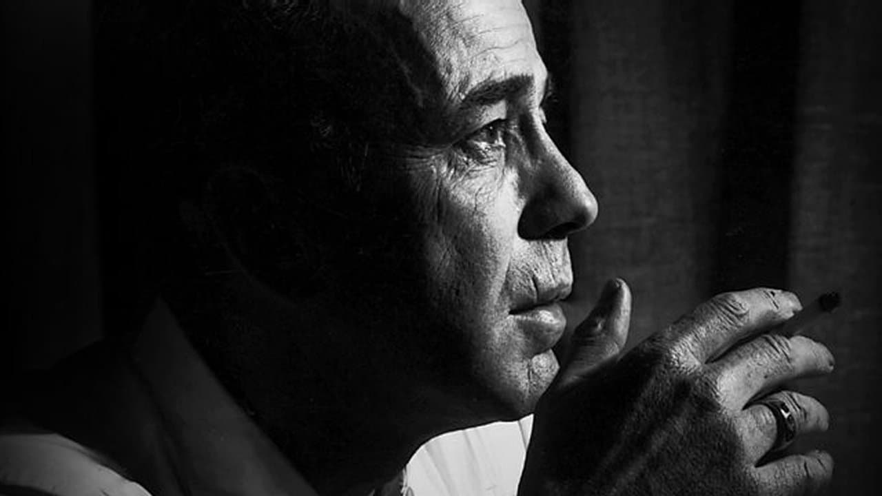 The Rules of Film Noirの背景画像