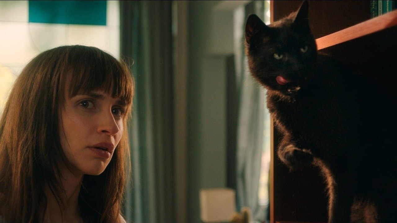 Cicaverzumの背景画像