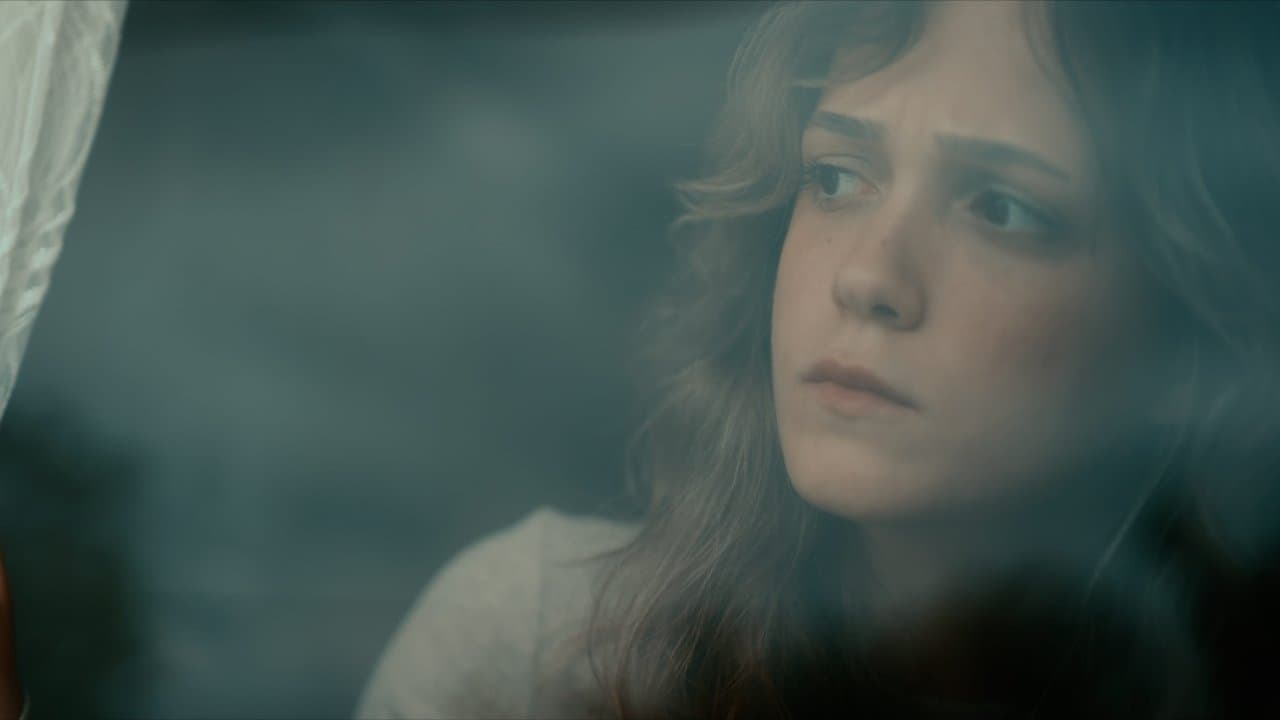 Kurtlarの背景画像