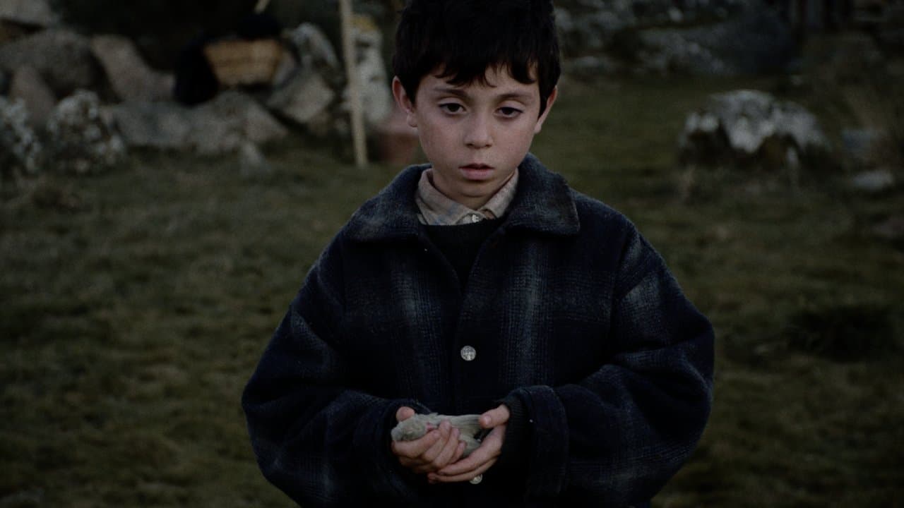 O Nosso Reinoの背景画像