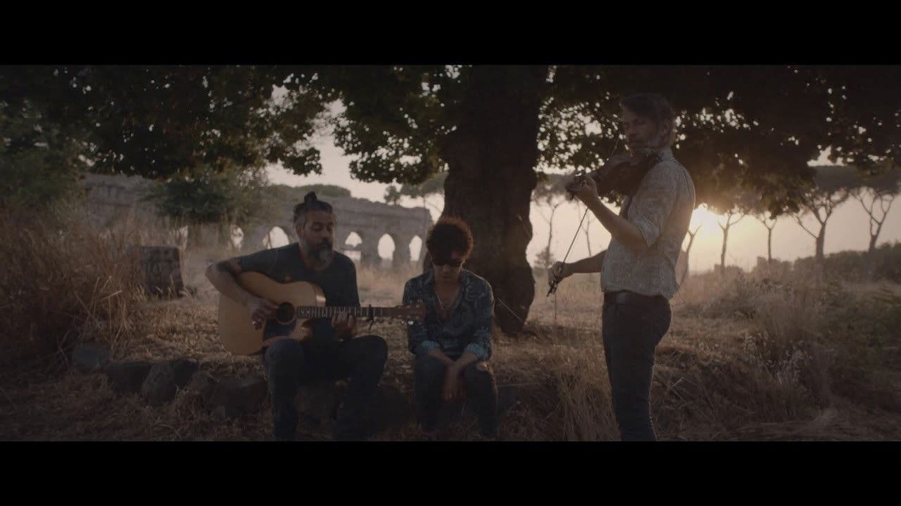 Nick Drake - Songs in a conversationの背景画像