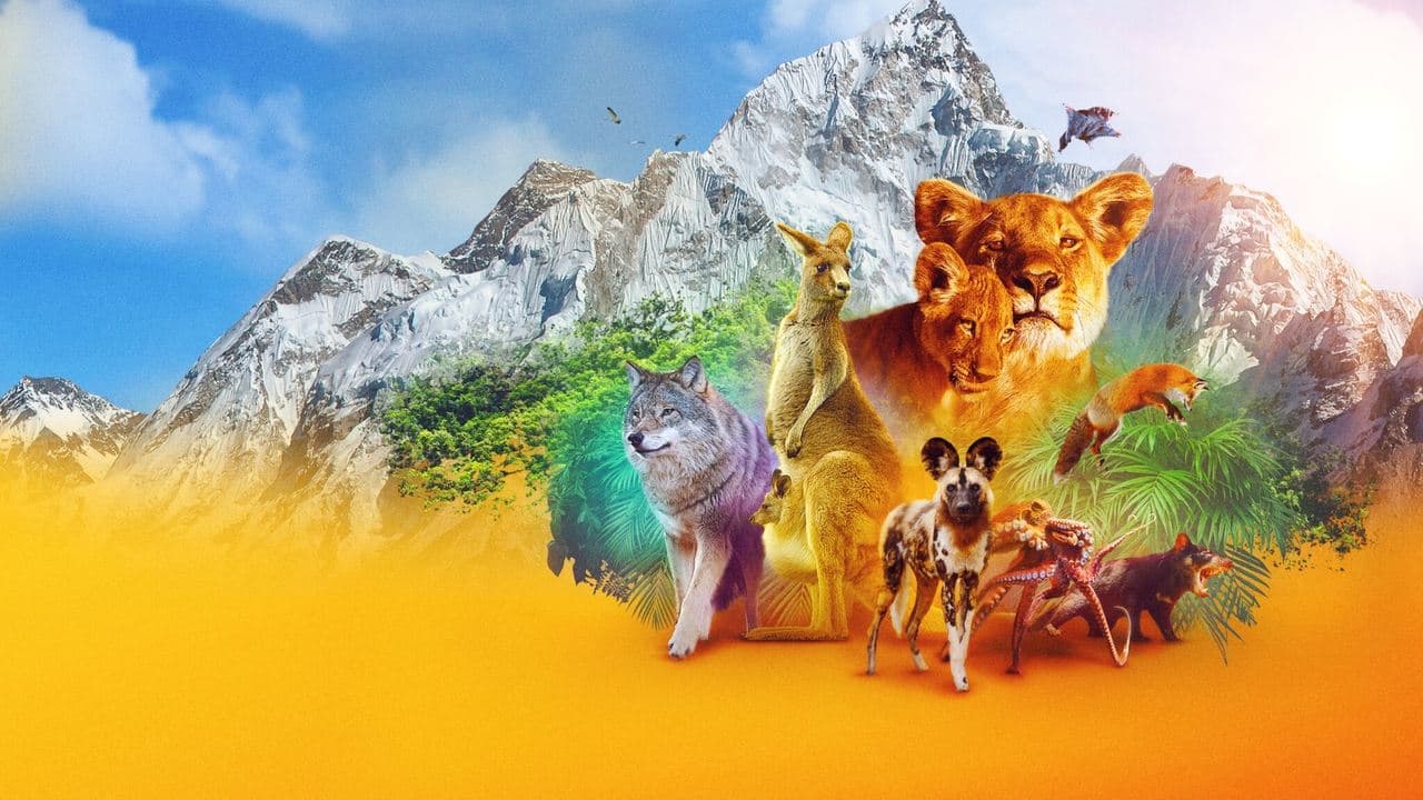 Animalの背景画像