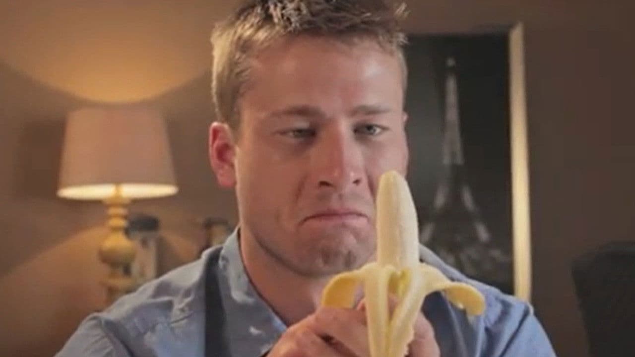 The Vibratorの背景画像