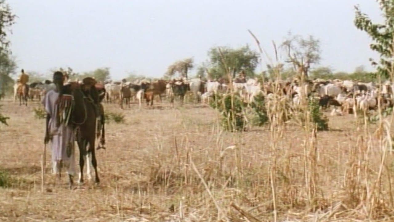 La colère des dieuxの背景画像