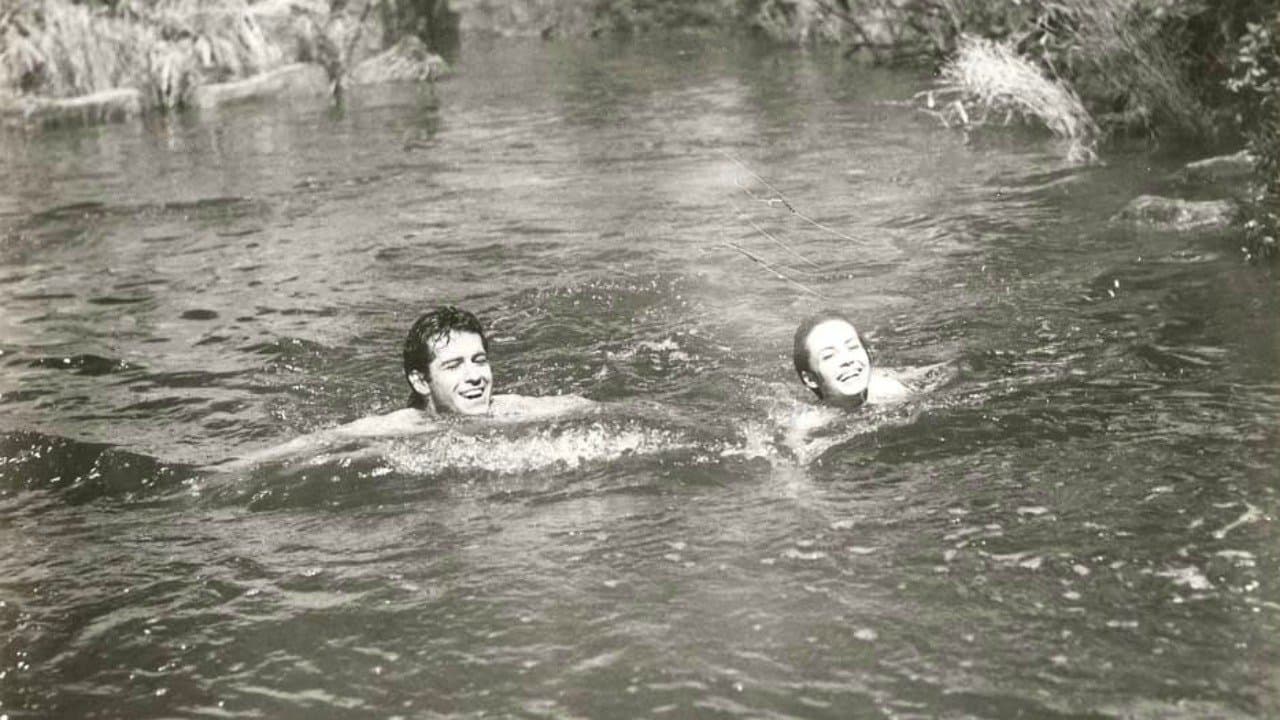 Tarzan and the Lost Safariの背景画像