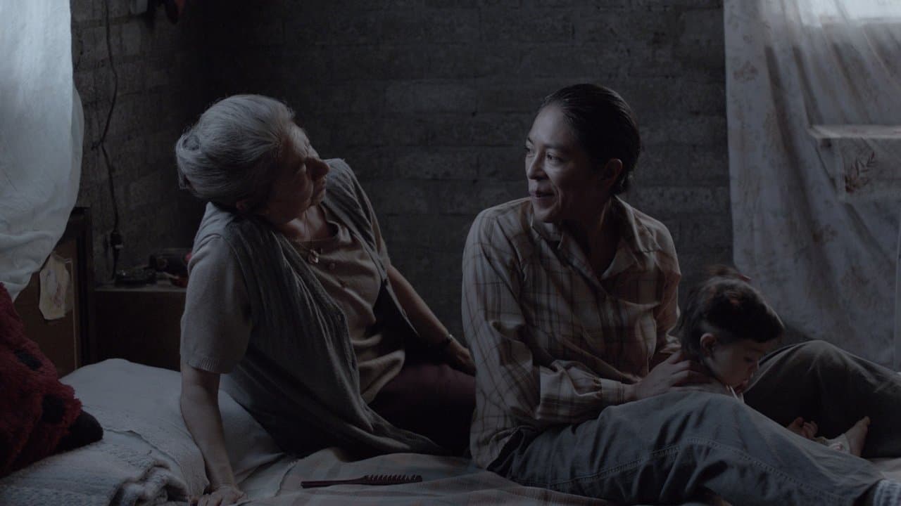 Tamara y la catarinaの背景画像