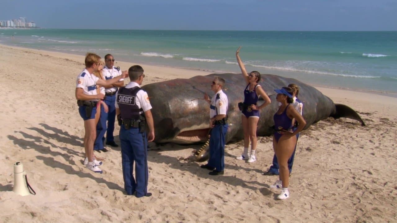 Reno 911!: Miamiの背景画像