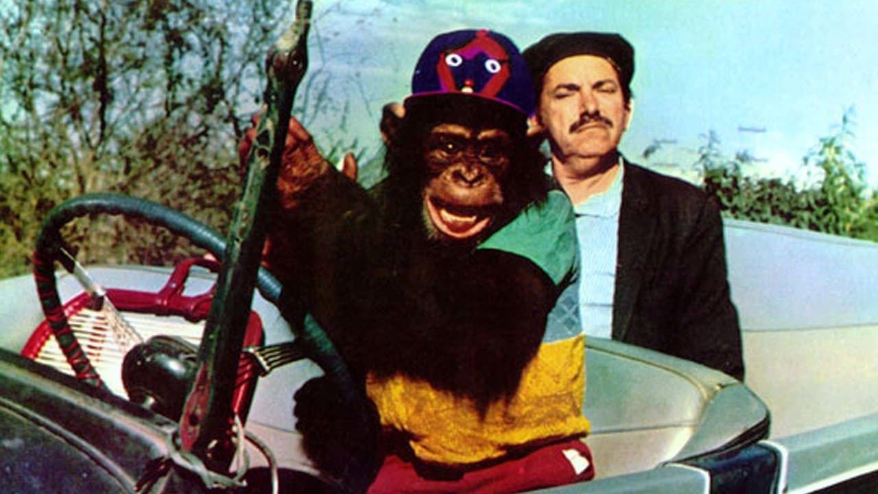 Betão Ronca Ferroの背景画像