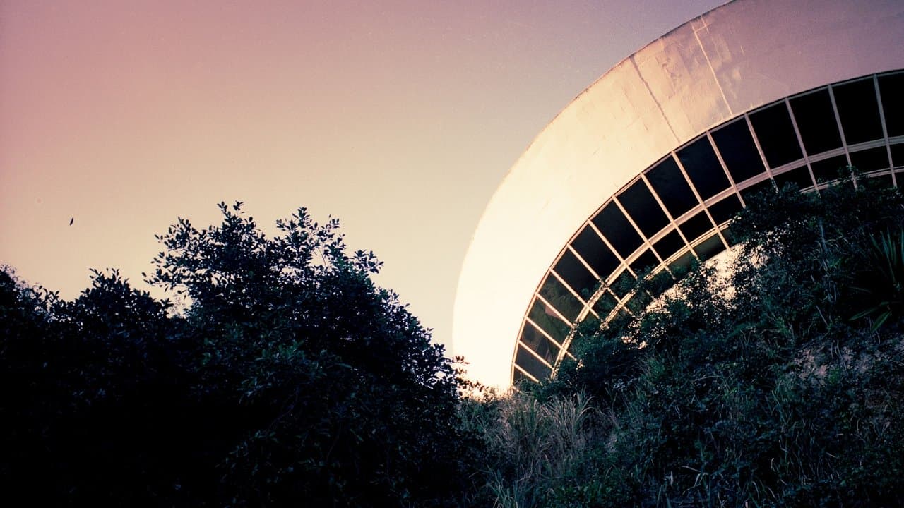 Discoの背景画像