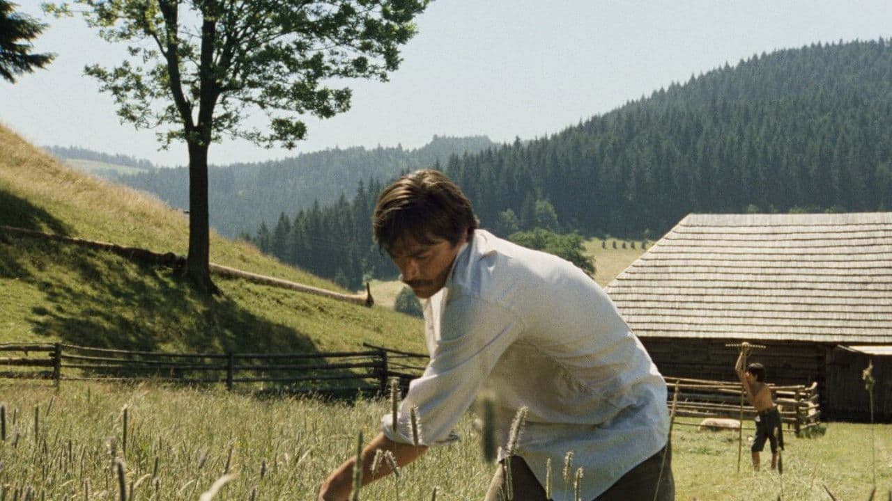 Stíny horkého létaの背景画像