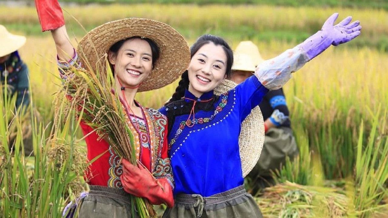 梯田姐妹の背景画像