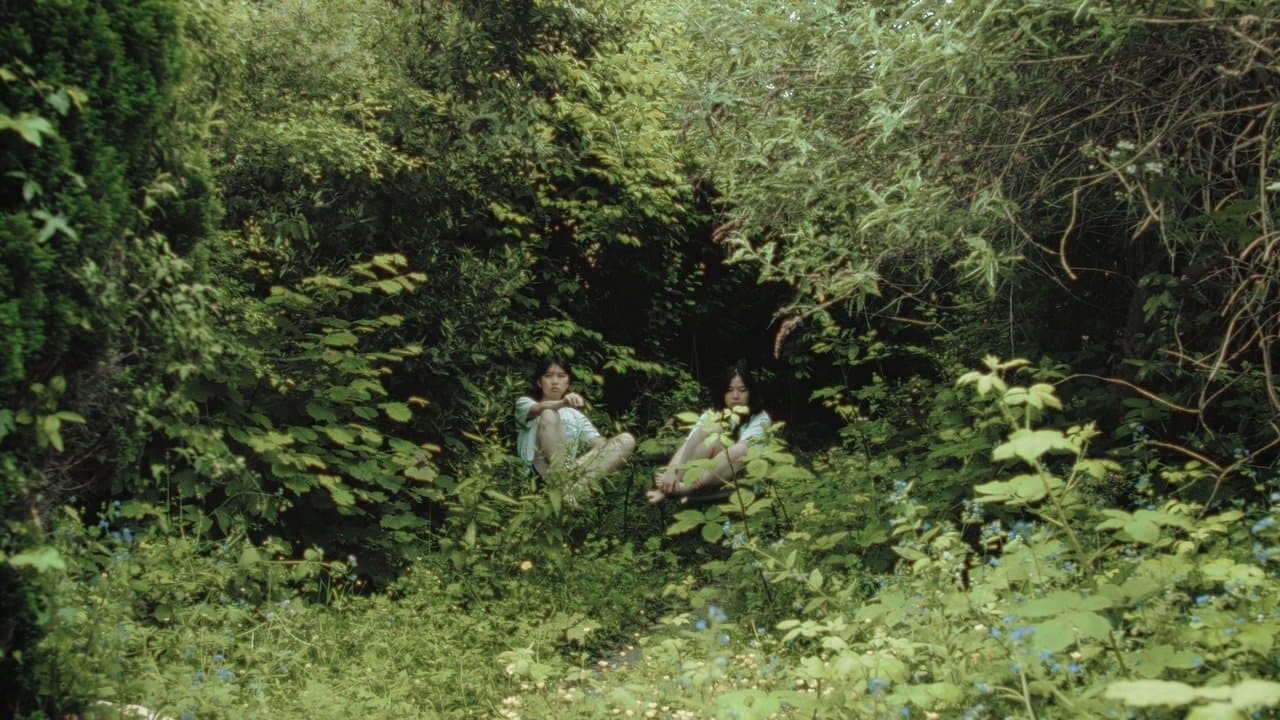 My Sister is a Butterflyの背景画像