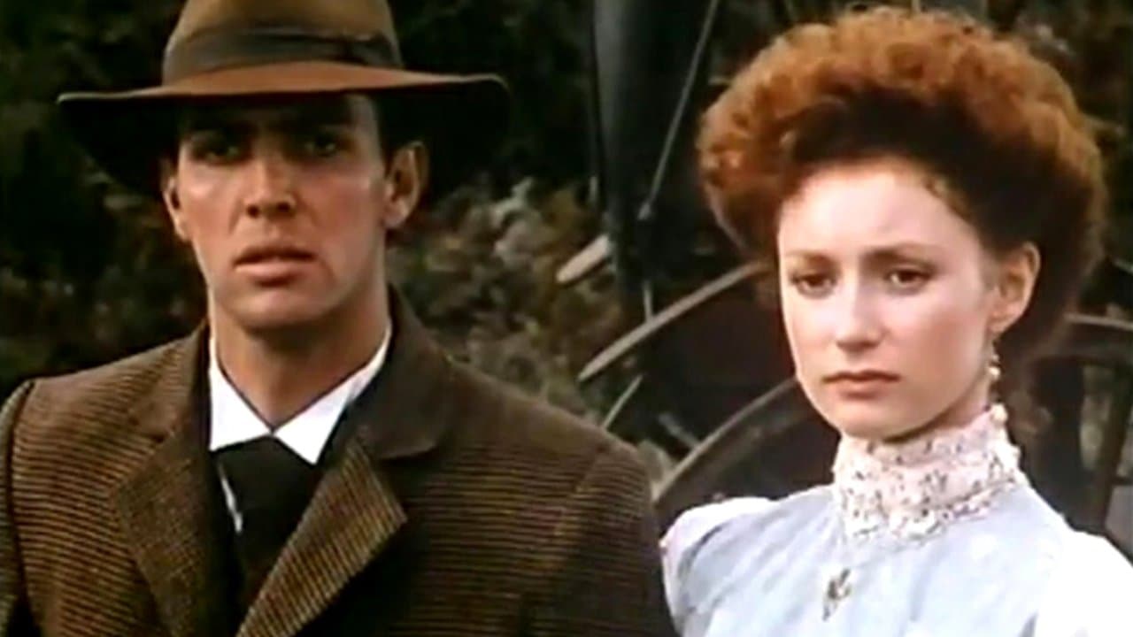 Circles in a Forestの背景画像