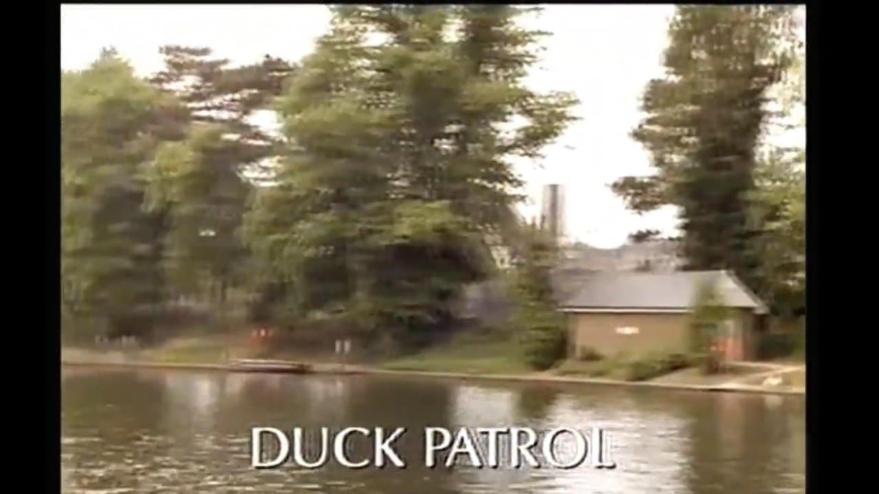 Duck Patrolの背景画像