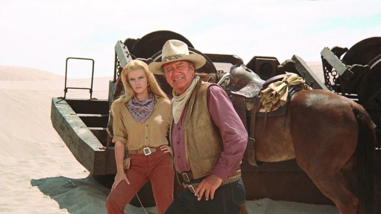 The Train Robbersの背景画像