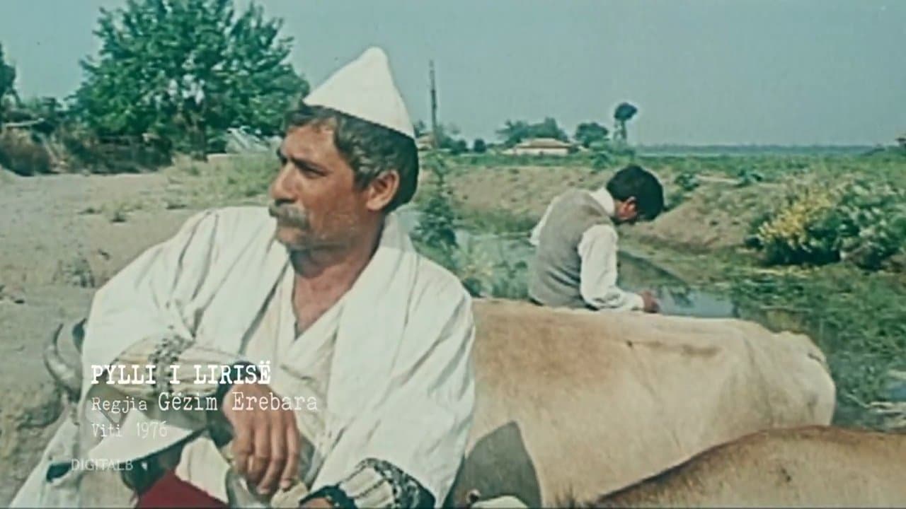 Pylli i lirisëの背景画像