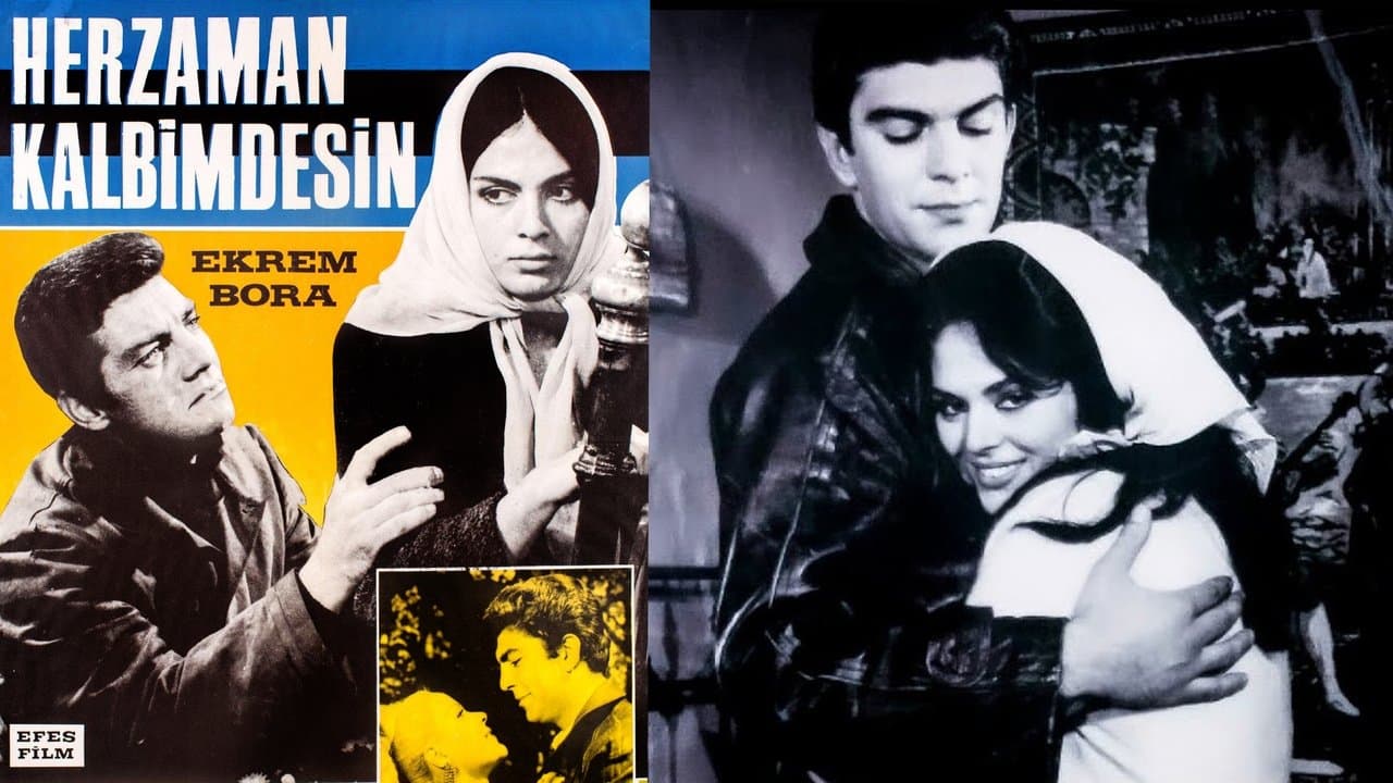 Her Zaman Kalbimdesinの背景画像