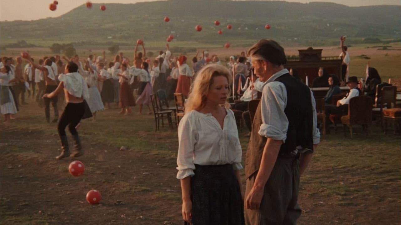 Allegro Barbaroの背景画像