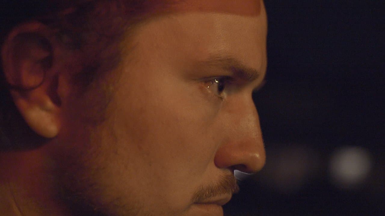 Cardinalの背景画像