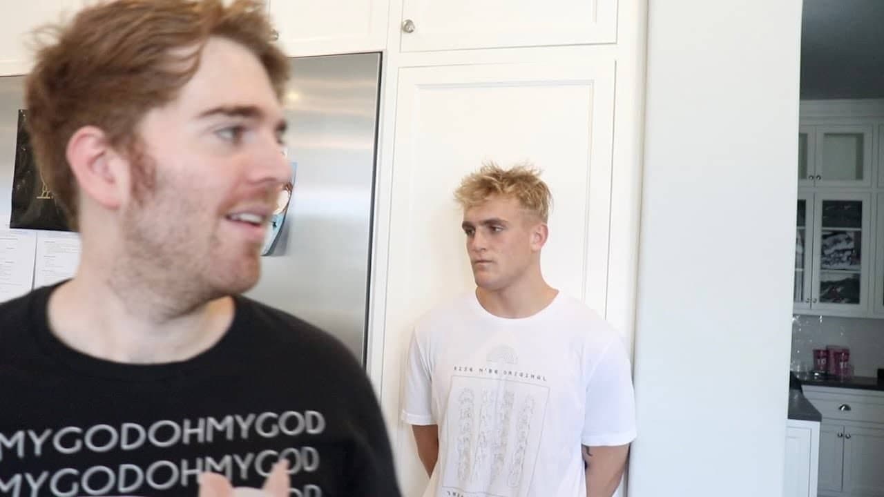 The Mind of Jake Paulの背景画像