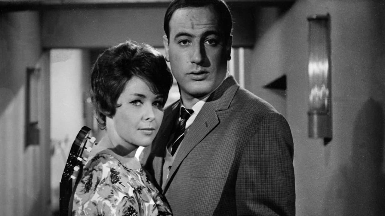 Auf der Sonnenseiteの背景画像