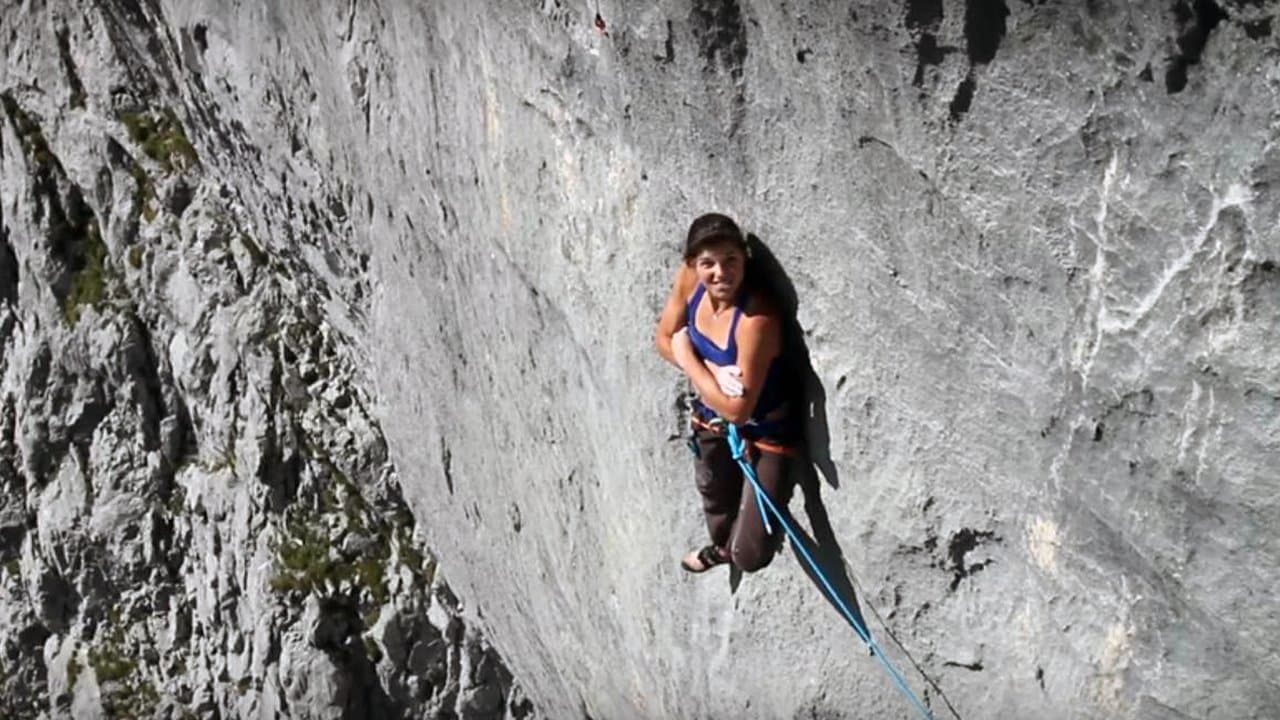 Silbergeierの背景画像