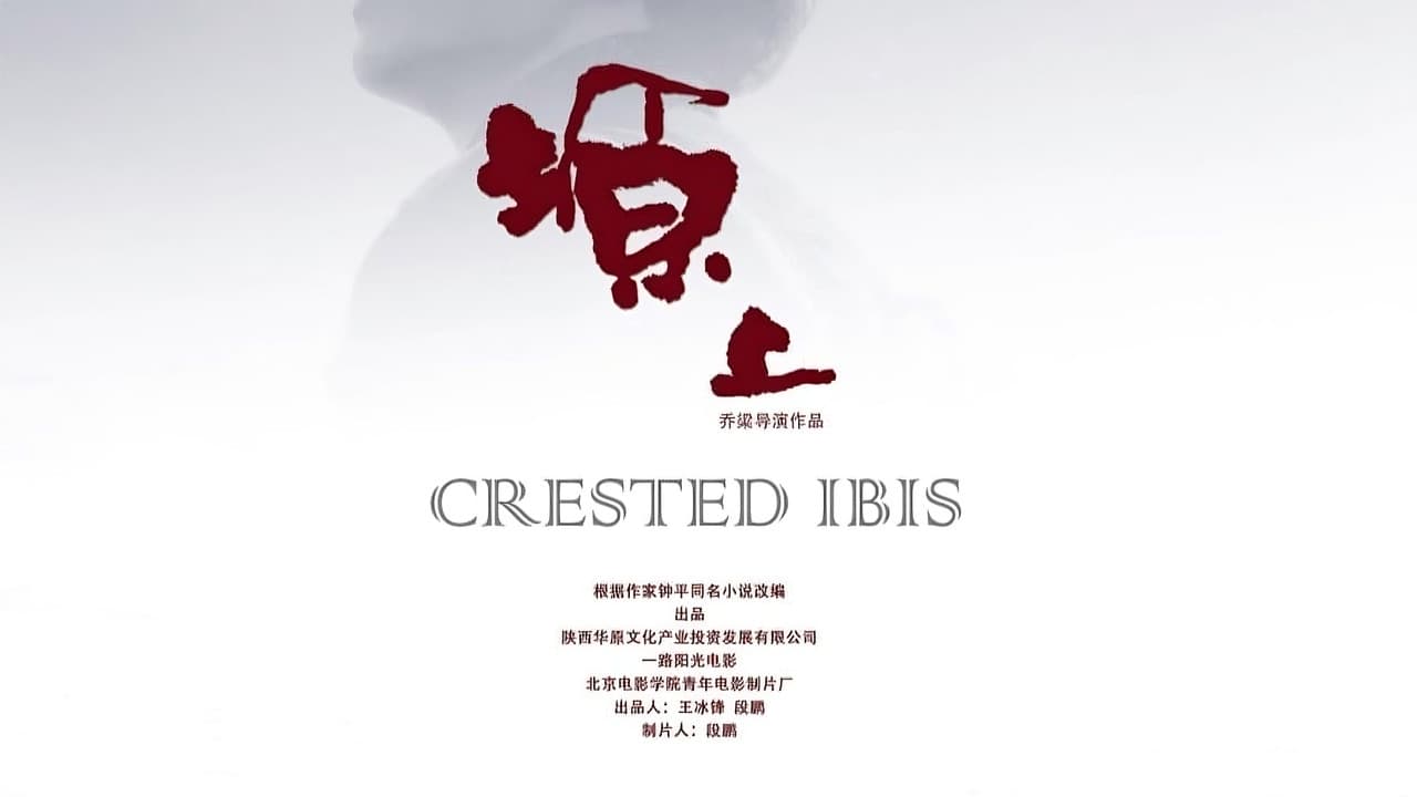 塬上の背景画像