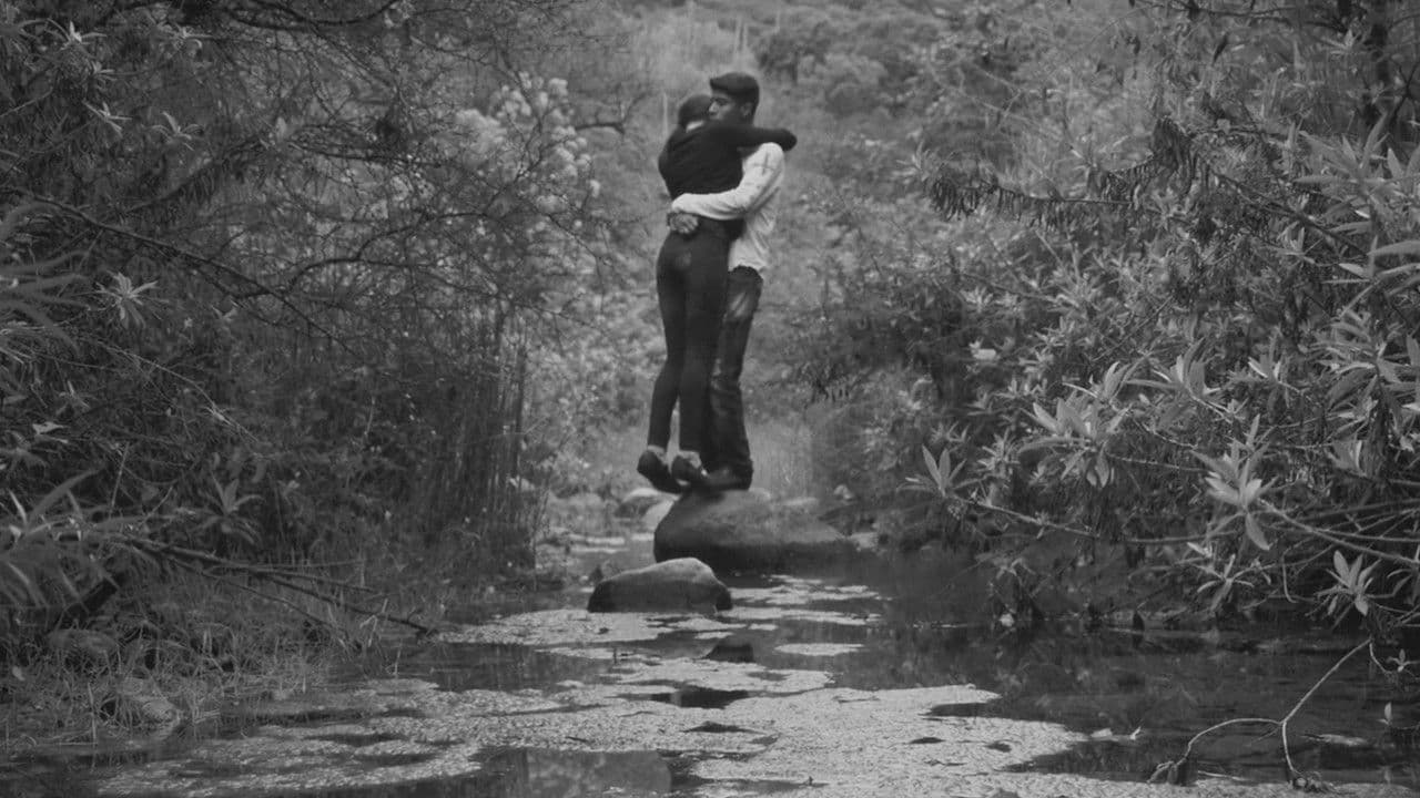 ¡Viva el Pueblo!の背景画像