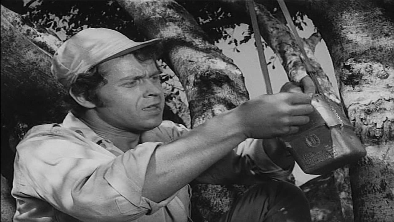 Das Geheimnis der Andenの背景画像