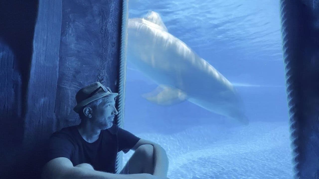 Delphinariums game over ?の背景画像