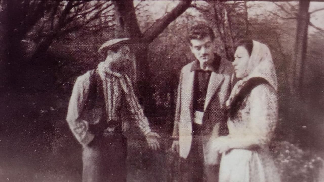 Ayşe Kızの背景画像