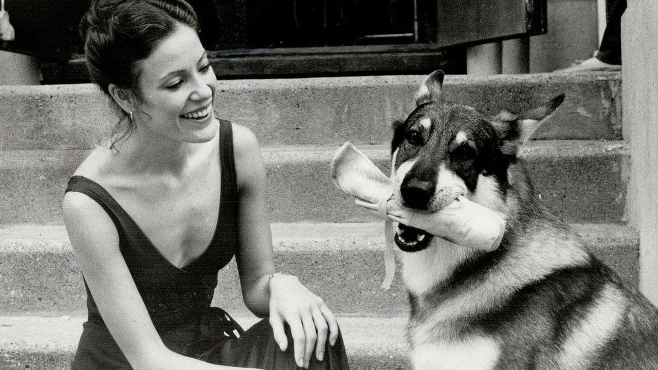 The Littlest Hoboの背景画像