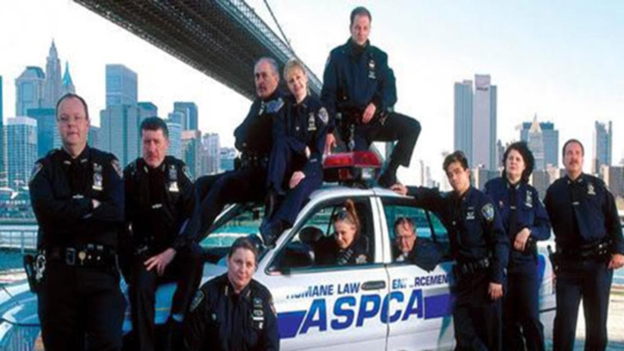 Animal Precinctの背景画像