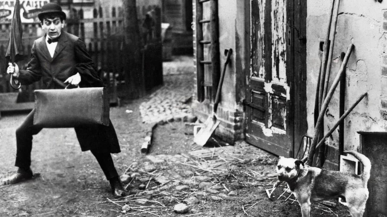 Fräulein Seifenschaumの背景画像