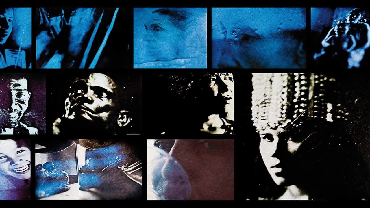 Equivalências - Aprender Vivendoの背景画像