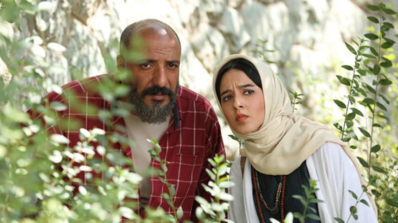 سوفی و دیوانهの背景画像